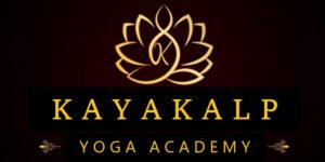 website logo